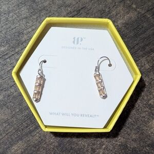 Elegantly Enchanted Bomb Party dangle earrings, RBP8521, NWT